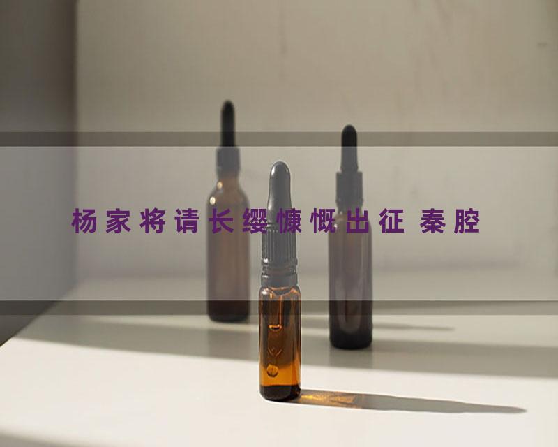 杨家将请长缨慷慨出征 秦腔