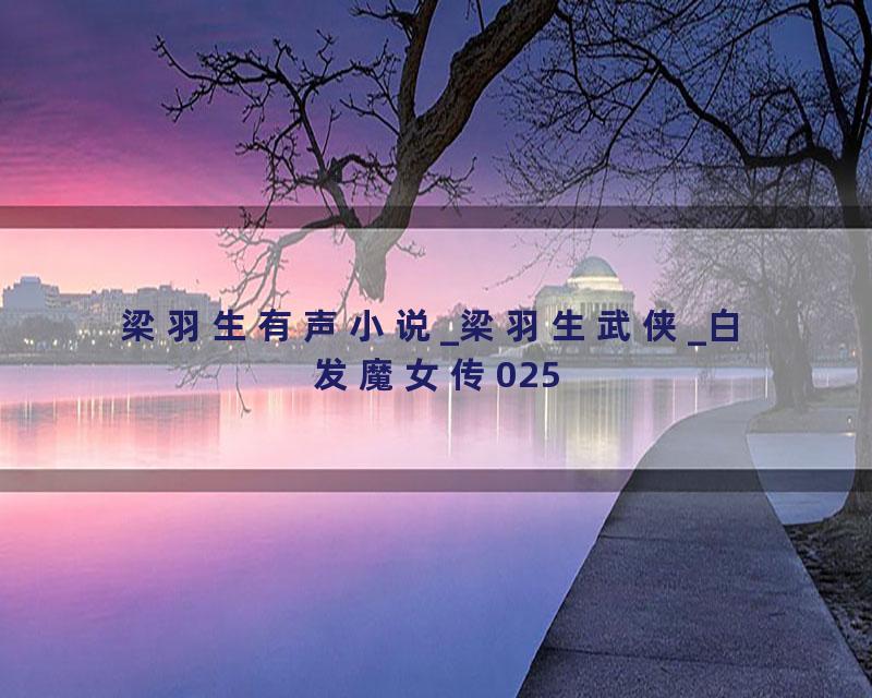 梁羽生有声小说_梁羽生武侠_白发魔女传025