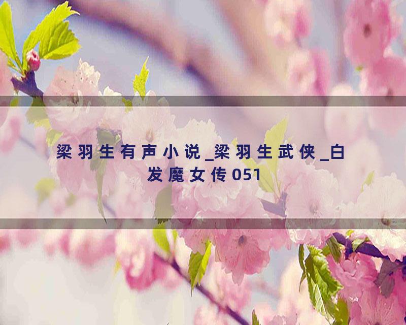 梁羽生有声小说_梁羽生武侠_白发魔女传051