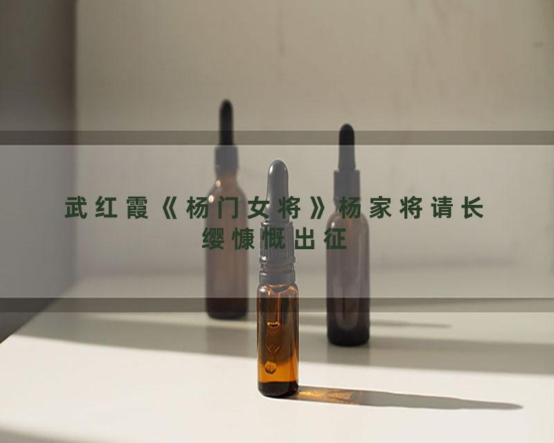 武红霞《杨门女将》杨家将请长缨慷慨出征