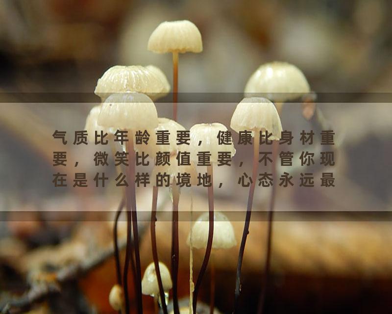 气质比年龄重要，健康比身材重要，微笑比颜值重要，不管你现在是什么样的境地，心态永远最重要早安仪式感wedding…