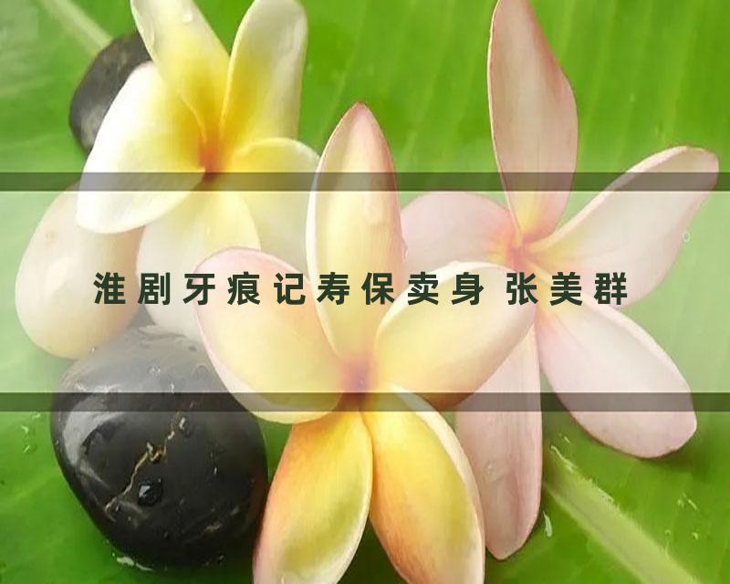 淮剧牙痕记寿保卖身 张美群