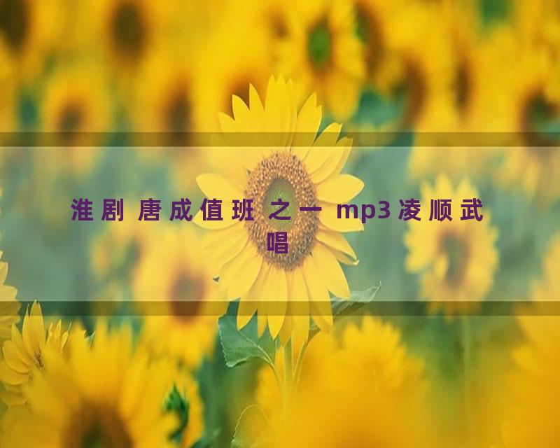淮剧 唐成值班 之一 mp3 凌顺武唱