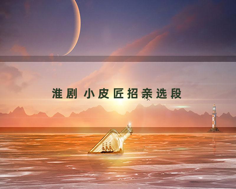淮剧 小皮匠招亲选段