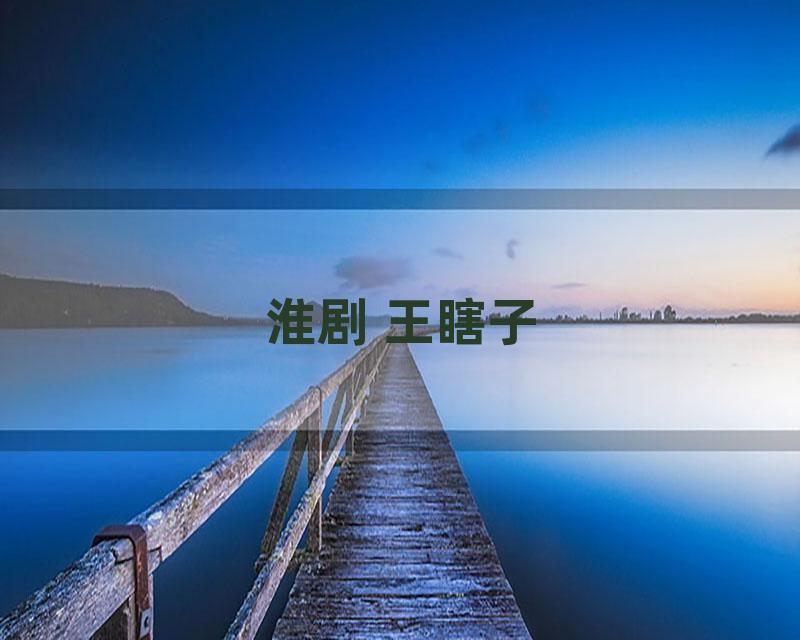 淮剧 王瞎子