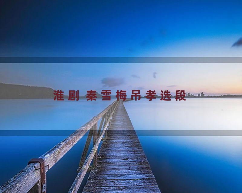 淮剧 秦雪梅吊孝选段