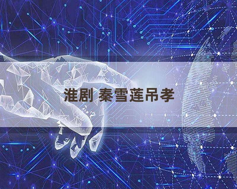 淮剧 秦雪莲吊孝