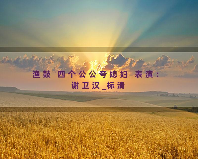 渔鼓  四个公公夸媳妇  表演：谢卫汉_标清