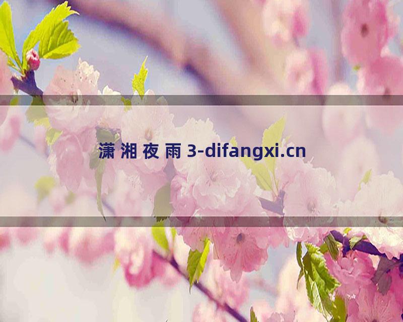 潇湘夜雨3-