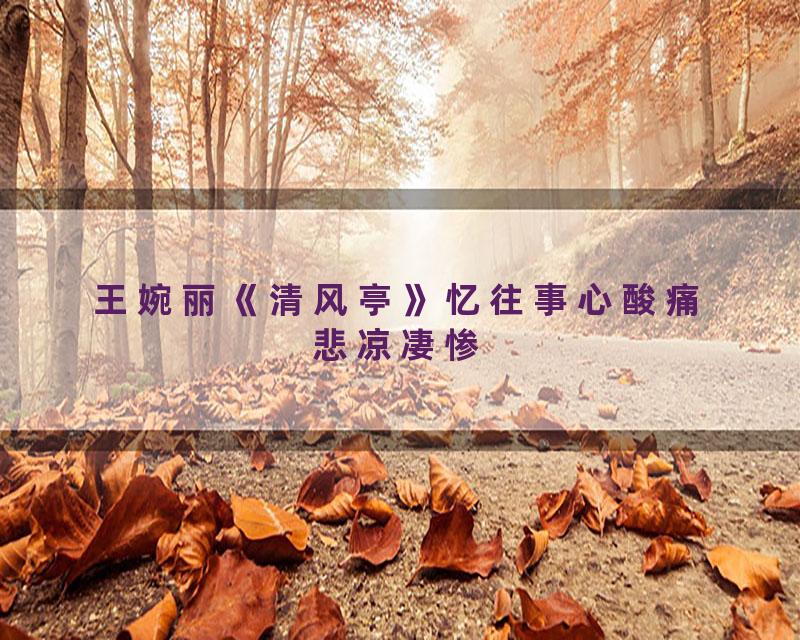 王婉丽《清风亭》忆往事心酸痛悲凉凄惨