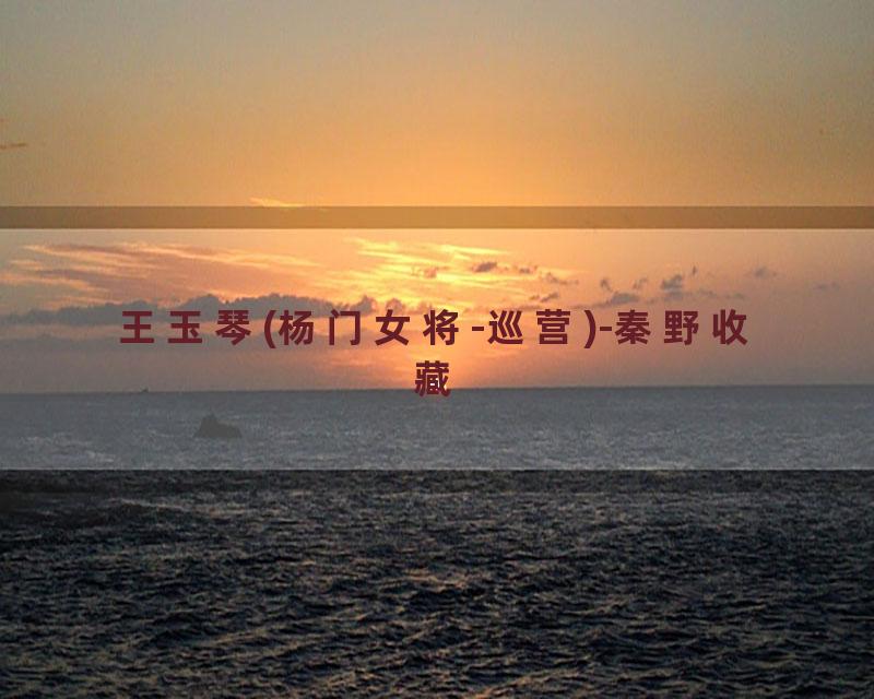 王玉琴(杨门女将-巡营)-秦野收藏