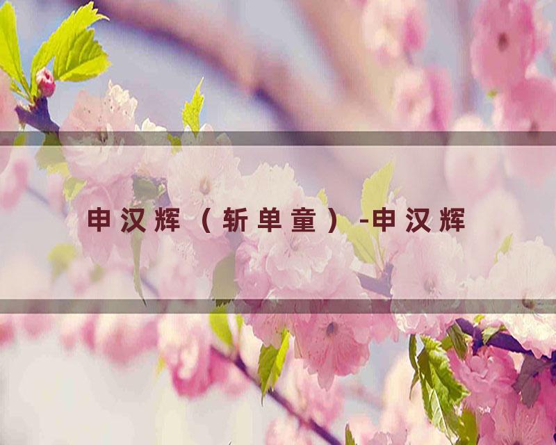 申汉辉（斩单童）-申汉辉