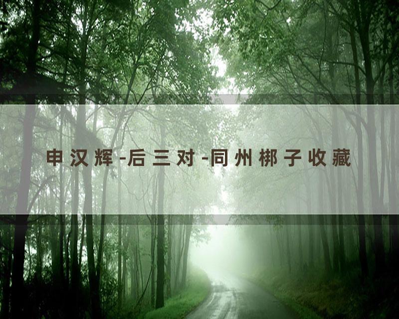 申汉辉-后三对-同州梆子收藏