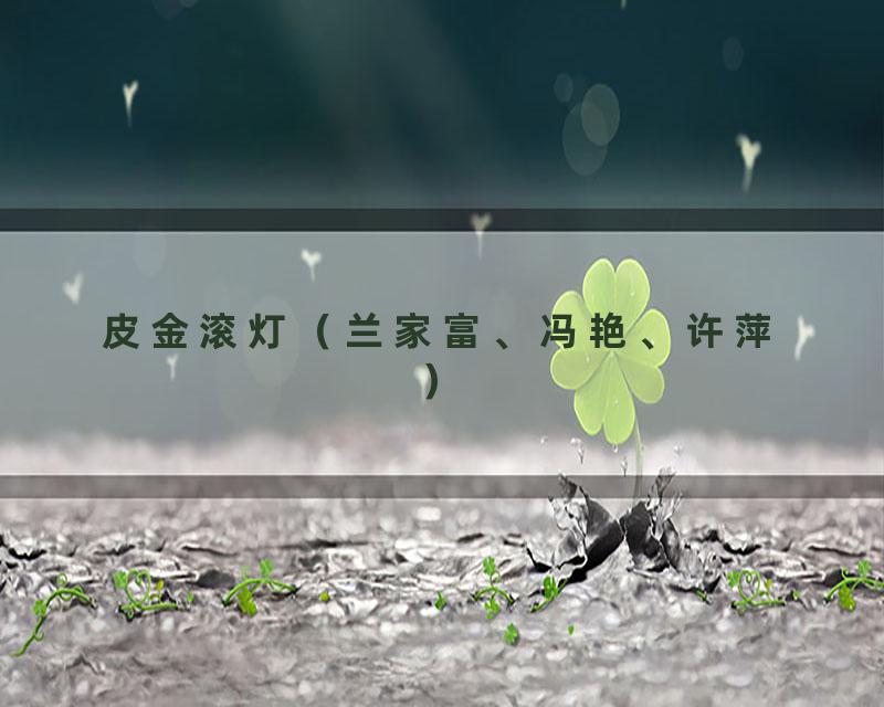 皮金滚灯（兰家富、冯艳、许萍）