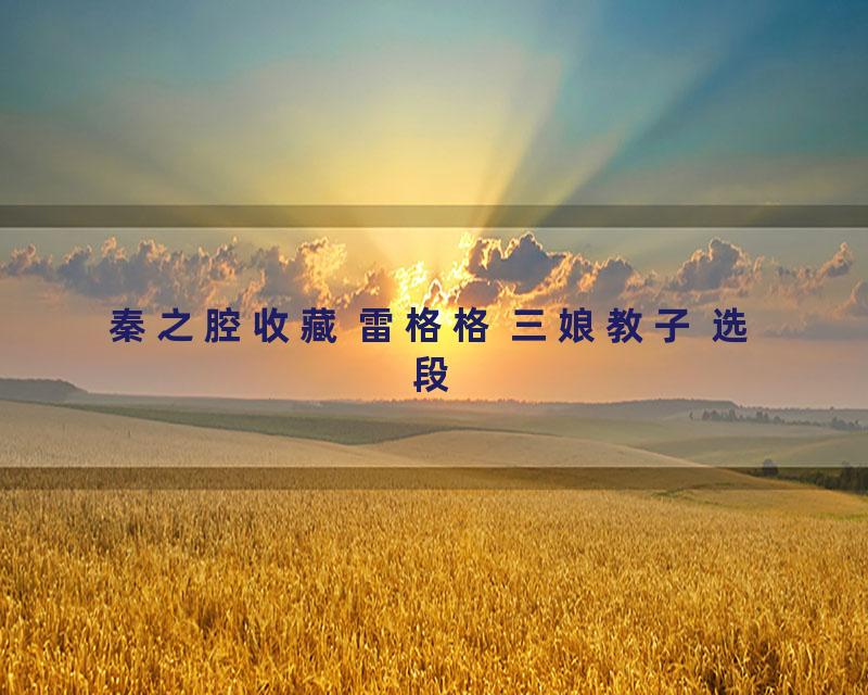 秦之腔收藏 雷格格 三娘教子 选段