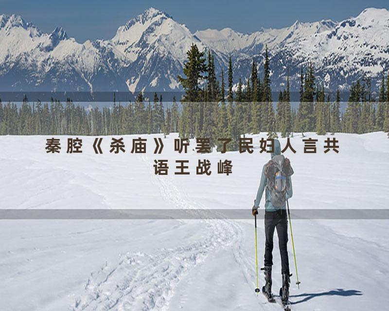 秦腔《杀庙》听罢了民妇人言共语王战峰