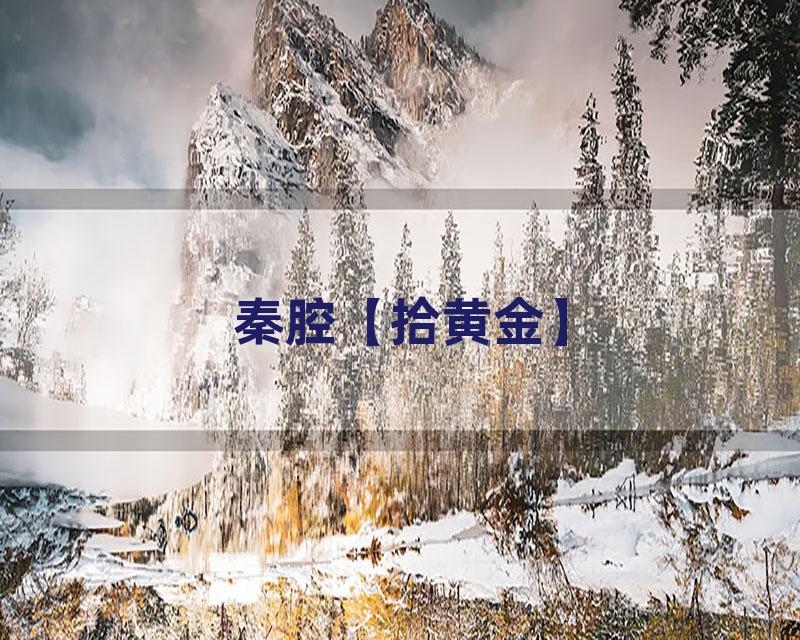 秦腔【拾黄金】