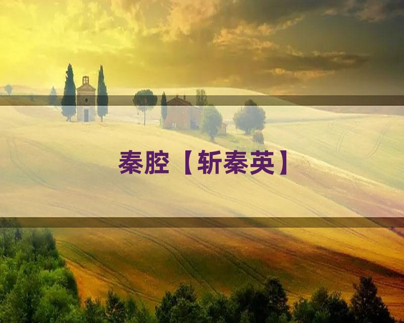 秦腔【斩秦英】