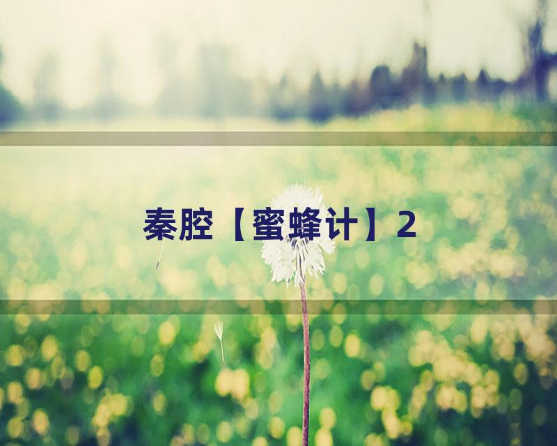 秦腔【蜜蜂计】2
