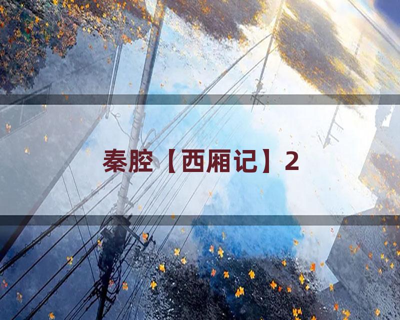秦腔【西厢记】2