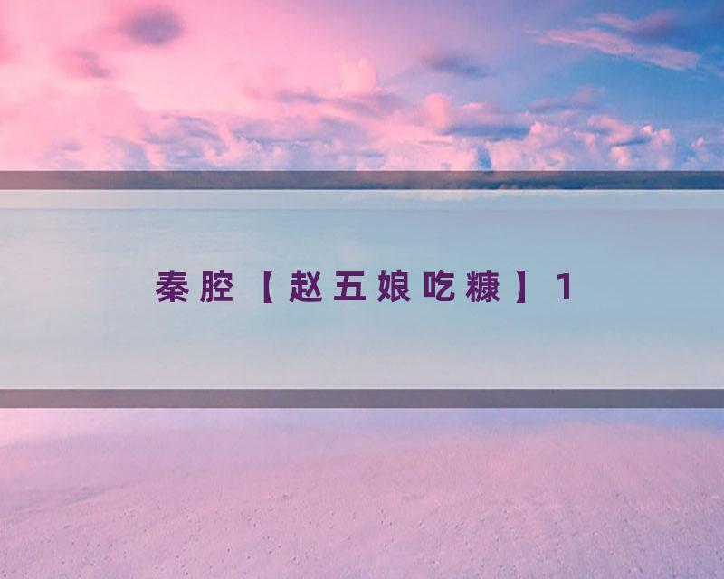 秦腔【赵五娘吃糠】1