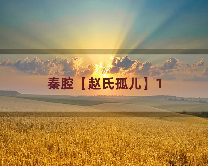 秦腔【赵氏孤儿】1