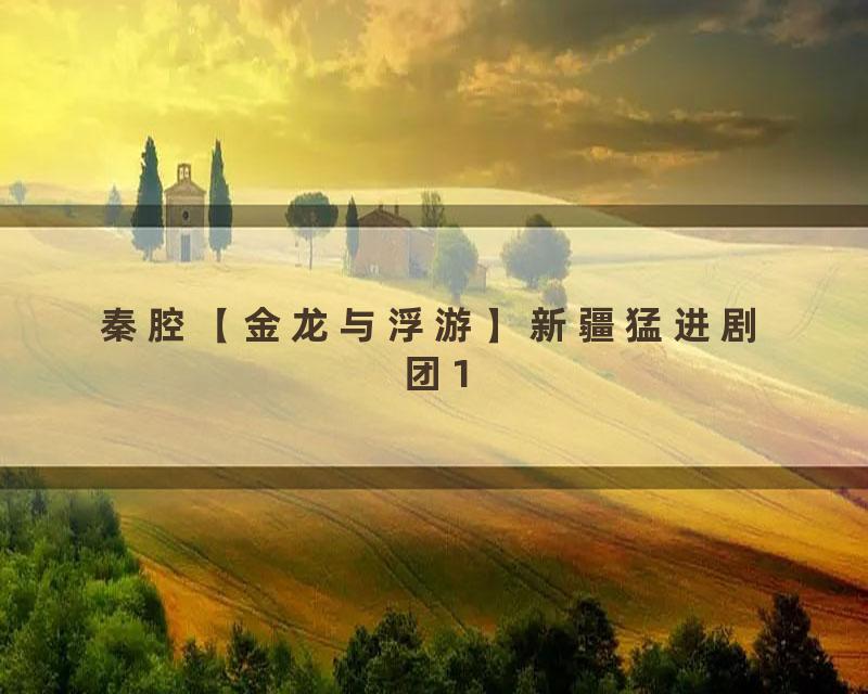 秦腔【金龙与浮游】新疆猛进剧团1