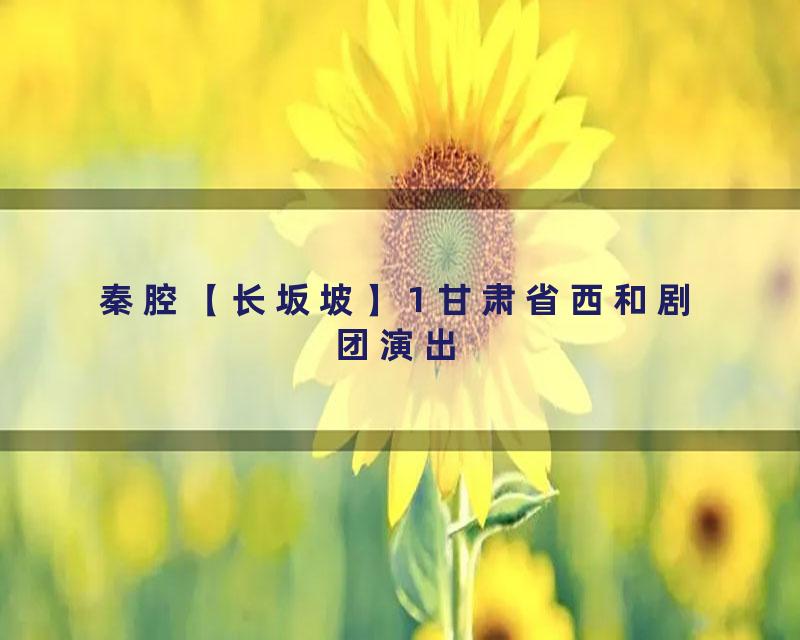 秦腔【长坂坡】1 甘肃省西和剧团演出