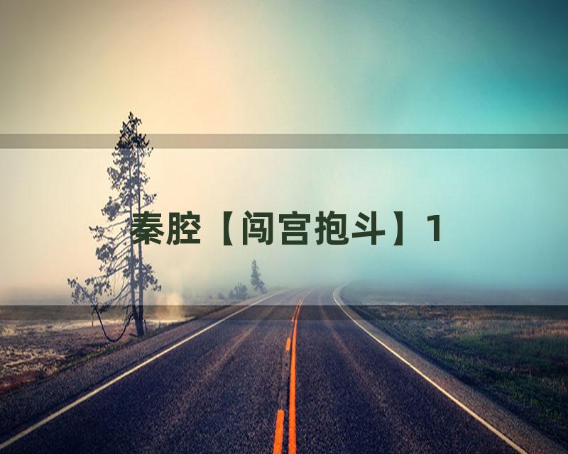 秦腔【闯宫抱斗】1