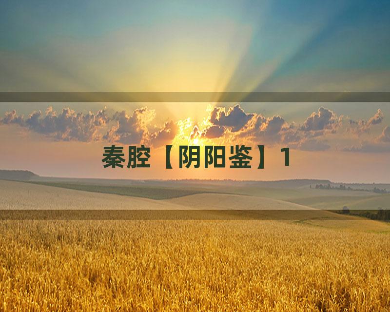 秦腔【阴阳鉴】1