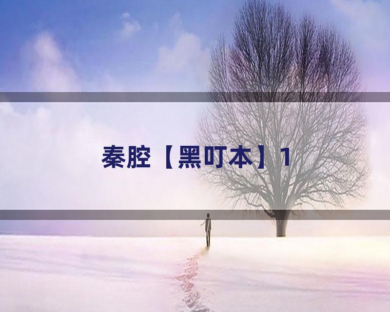 秦腔【黑叮本】1