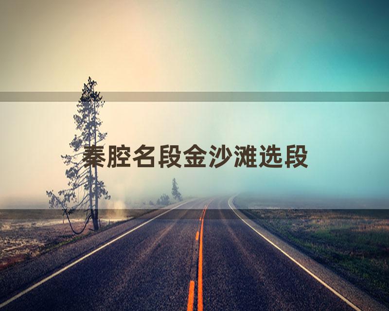 秦腔名段金沙滩选段