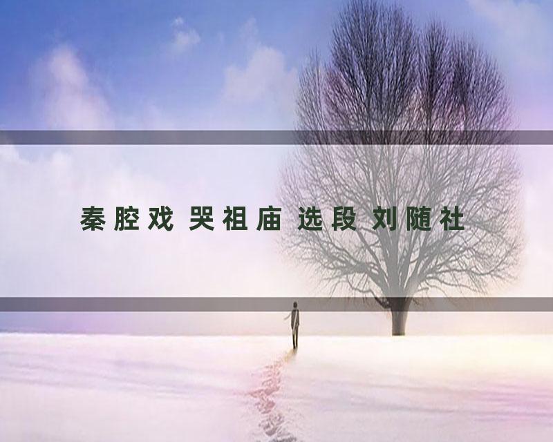 秦腔戏 哭祖庙 选段 刘随社