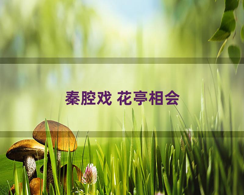 秦腔戏 花亭相会