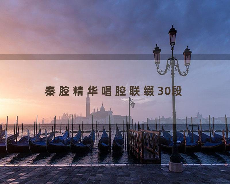 秦腔精华唱腔联缀30段