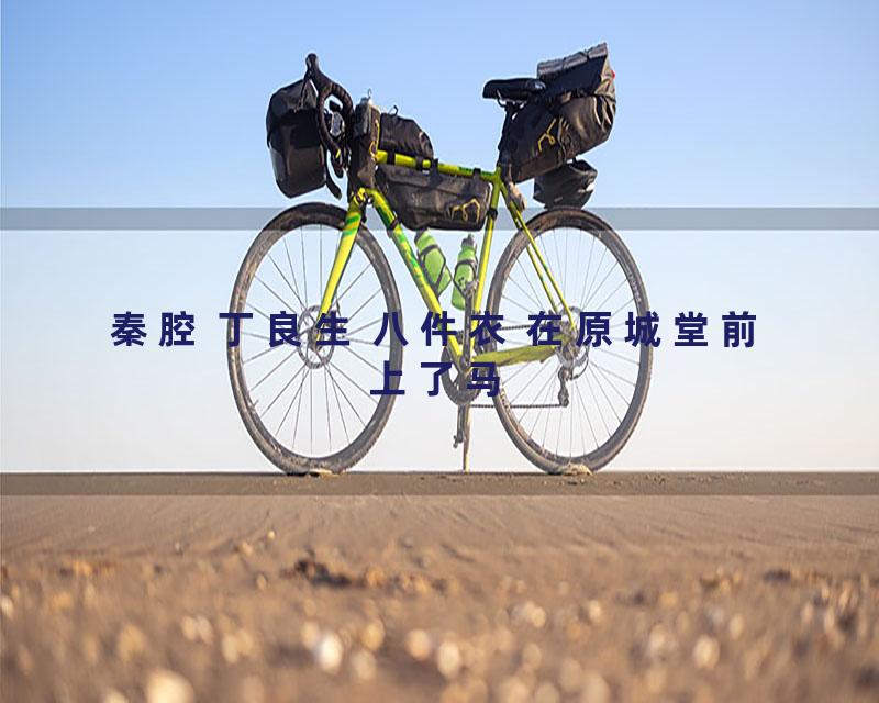 秦腔 丁良生 八件衣 在原城堂前上了马