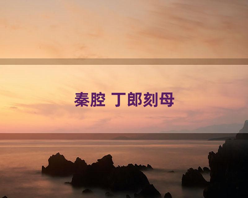 秦腔 丁郎刻母