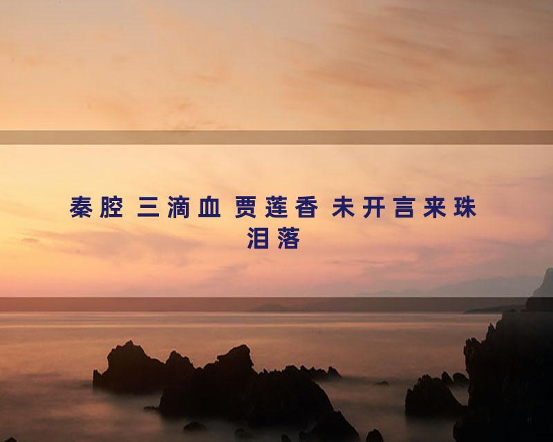 秦腔 三滴血 贾莲香 未开言来珠泪落