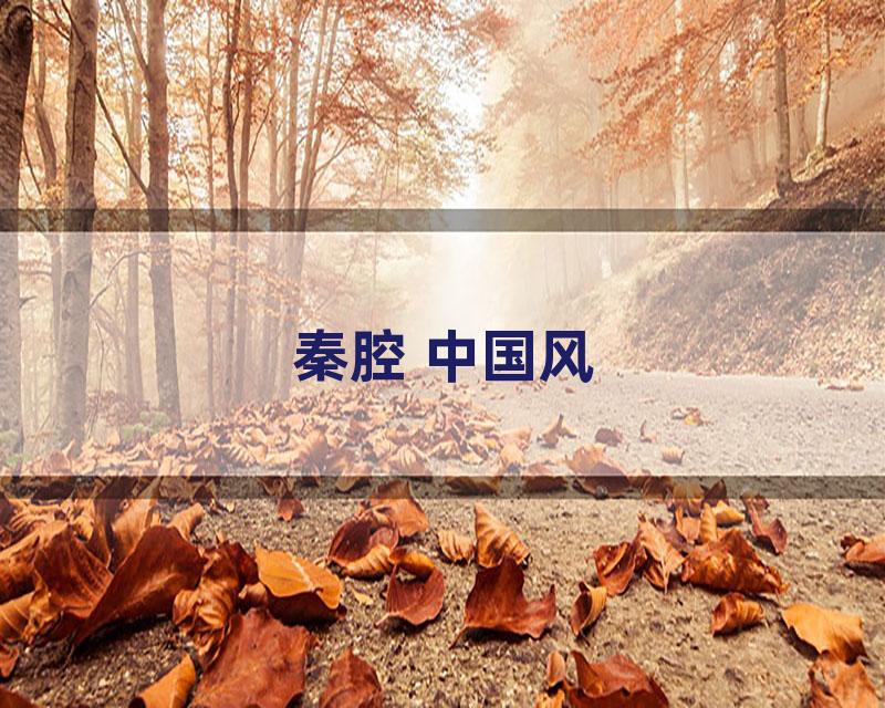 秦腔 中国风