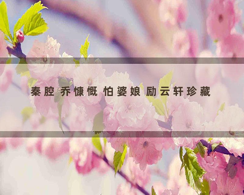 秦腔 乔慷慨 怕婆娘 励云轩珍藏