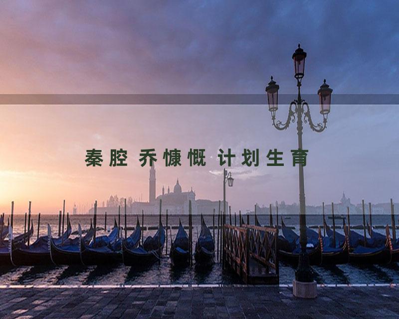 秦腔 乔慷慨 计划生育