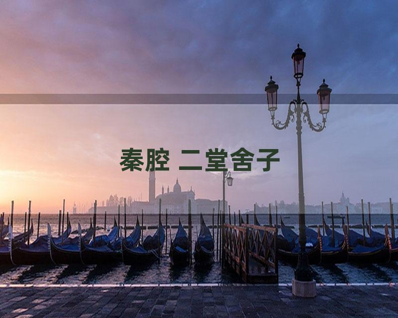 秦腔 二堂舍子