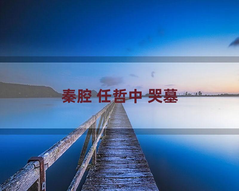 秦腔 任哲中 哭墓