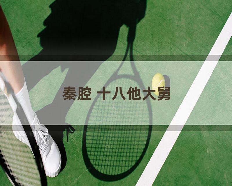 秦腔 十八他大舅