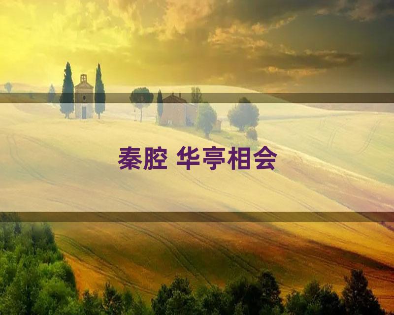 秦腔 华亭相会