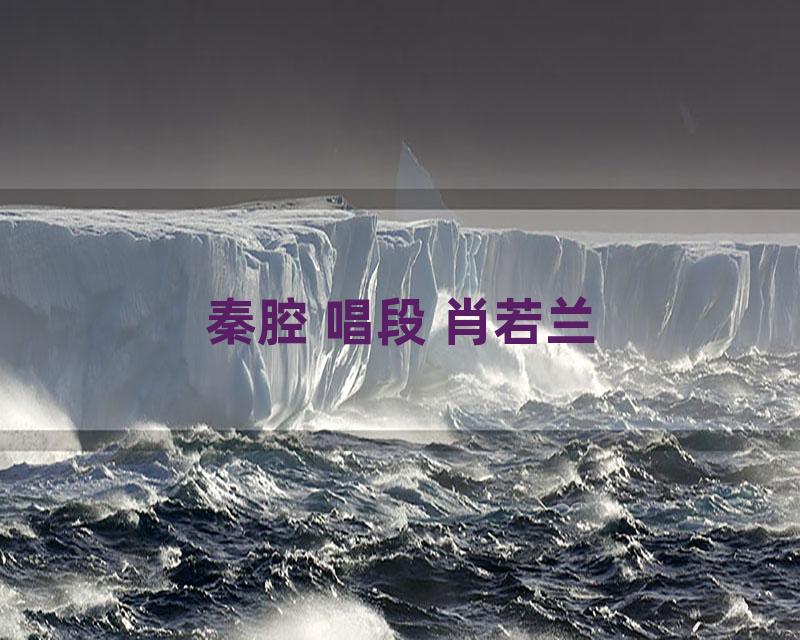 秦腔 唱段 肖若兰