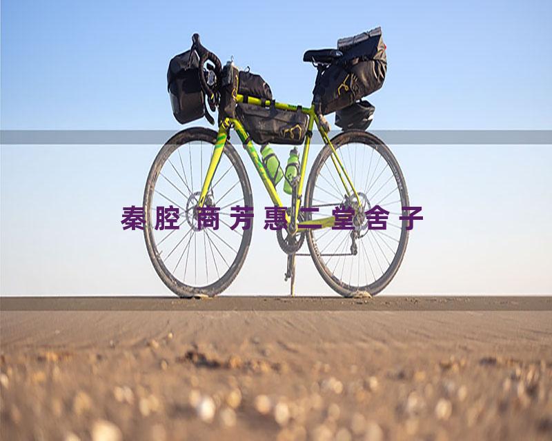 秦腔 商芳惠二堂舍子