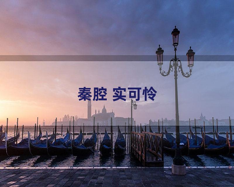 秦腔 实可怜