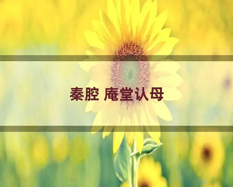 秦腔 庵堂认母