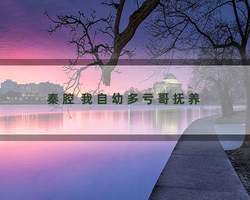 秦腔 我自幼多亏哥抚养